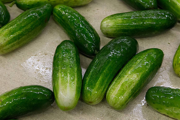 PicklingCucumber_Vlaspik_Processing_MI_0158