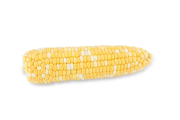 SweetCorn_SVSA7611_45