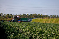 Seminis2022_FL_Bedner_79