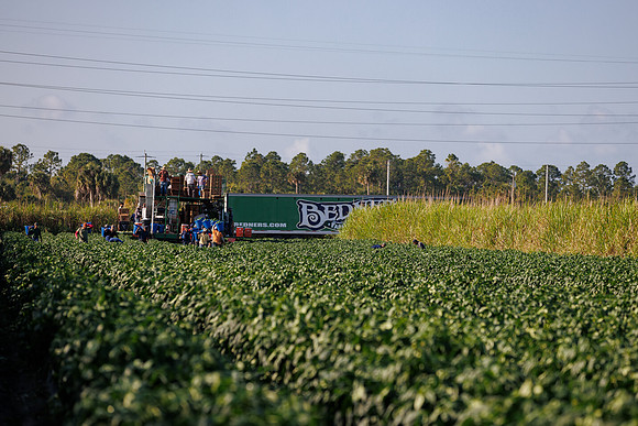 Seminis2022_FL_Bedner_79