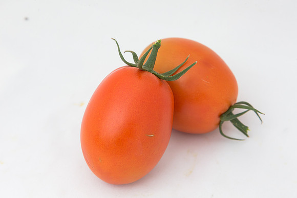Tomato_4179_MX_Group_0006
