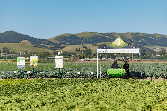 Seminis_SJB_FieldDay2025_1564