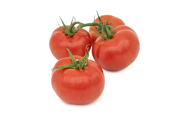 Tomatoes_DRTH1053_107