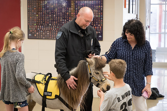 AmericasFarmers_HeartlandMiniHorses_600