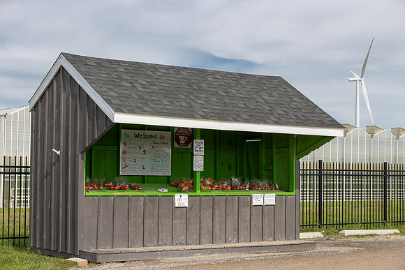 DeRuiter2021_Canada_4703