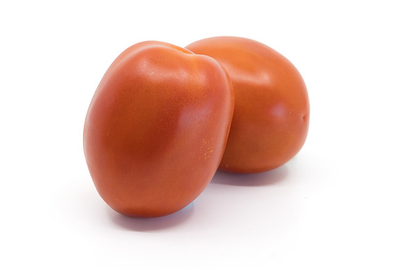 Tomato_N6480_4