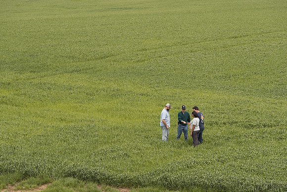 AmericasFarmers_BallardCountyHS_3515
