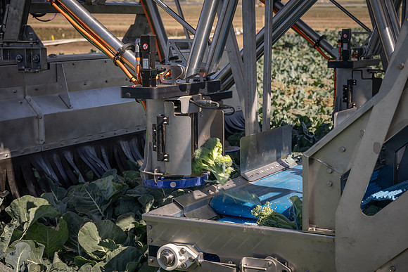 CytheHarvester_SJB_FieldDay2025_291