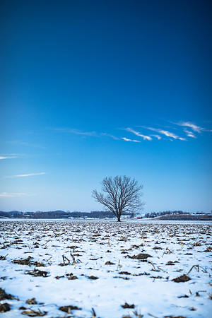 CDPg_4659