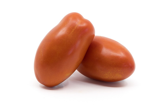 Tomato_N6495_1