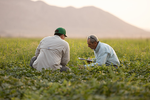 Seminis2021_AZ_1313