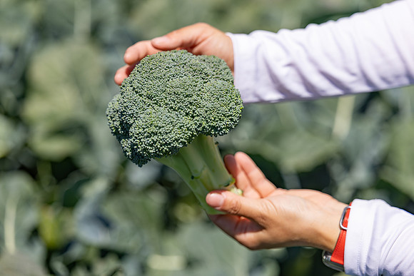 Stratosphere_Brocolli_70