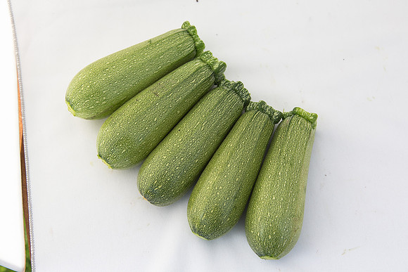 Squash_Adelita_MX_Group_0001