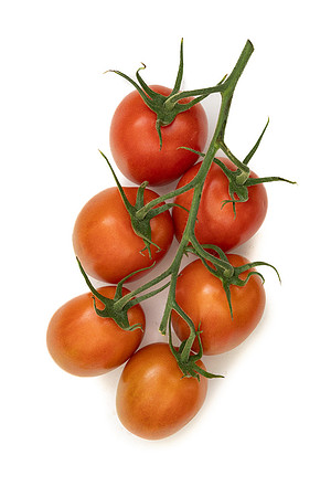 Tomatoes_DRTH4091_16