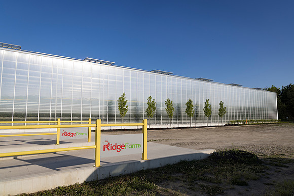 DeRuiter2024_ON_RidgeFarms_5