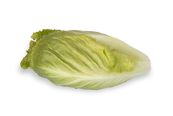 Lettuce_SV2988LG_CA_0095