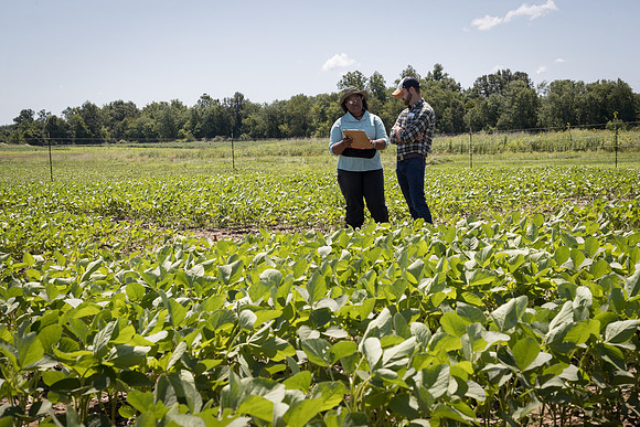 NL_Soybeans_072319_Carbondale_16