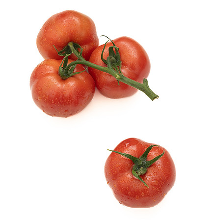 Tomatoes_DRTH1054_119