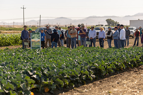 Seminis_SJB_FieldDay2025_1288
