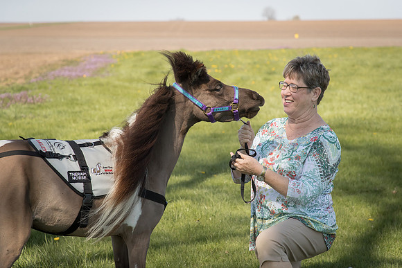AmericasFarmers_HeartlandMiniHorses_699