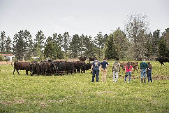 AmericasFarmers_BallardCountyHS_4022
