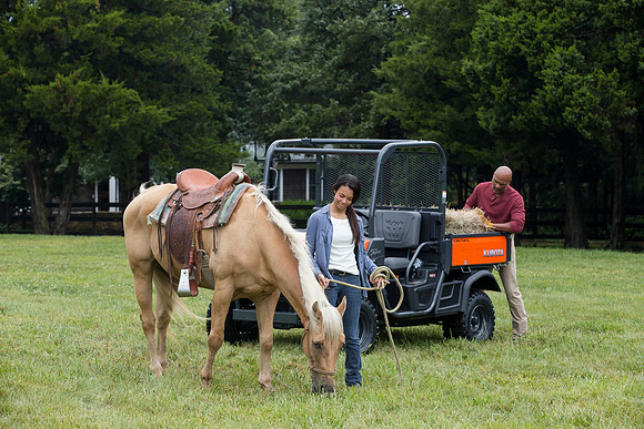 Kubota_RTVX900_CDP2015_0184