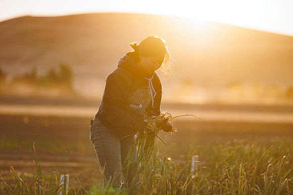 Seminis2022_Idaho_1037