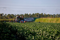 Seminis2022_FL_Bedner_62