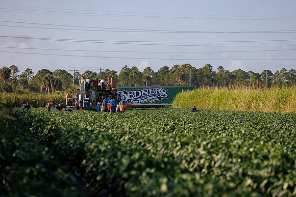 Seminis2022_FL_Bedner_62