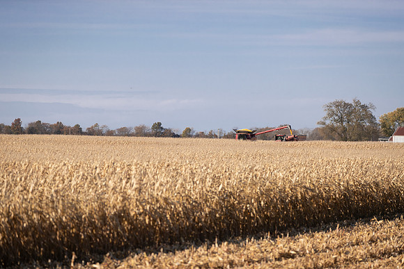 NL_Corn_Harvest_2019_c_110