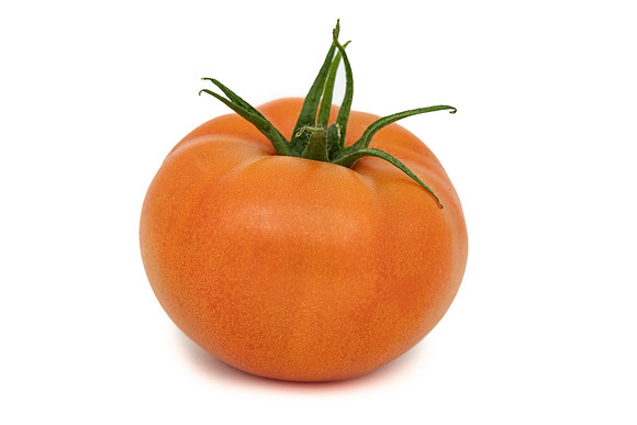 Tomatoes_DRTH5075_27