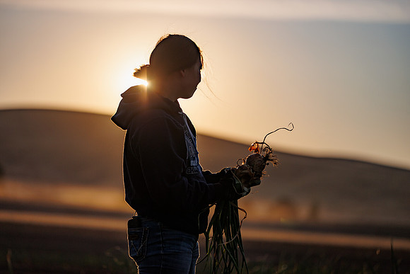 Seminis2022_Idaho_1078