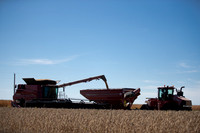 NL_Soybean_Harvest_2019_c_35
