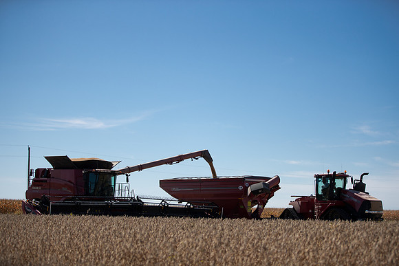 NL_Soybean_Harvest_2019_c_35