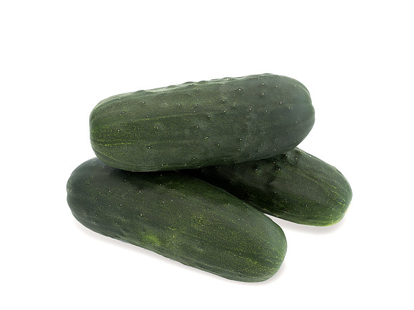 Cucumber_Espirit_8