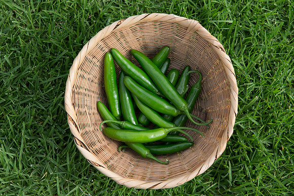 HotPepper_7073_MX_0034