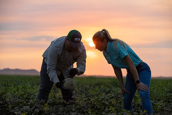 Seminis2021_AZ_109