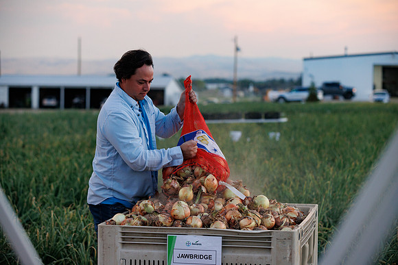 Seminis2022_Idaho_392