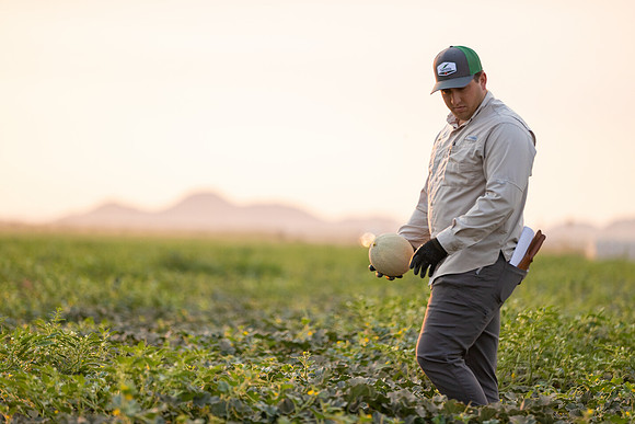 Seminis2021_AZ_813