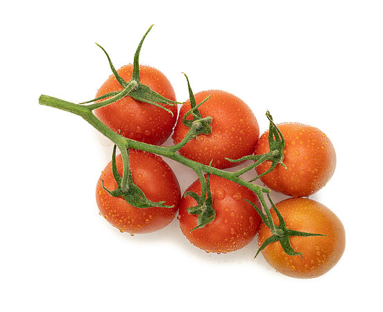 Tomatoes_DRTH4101_20