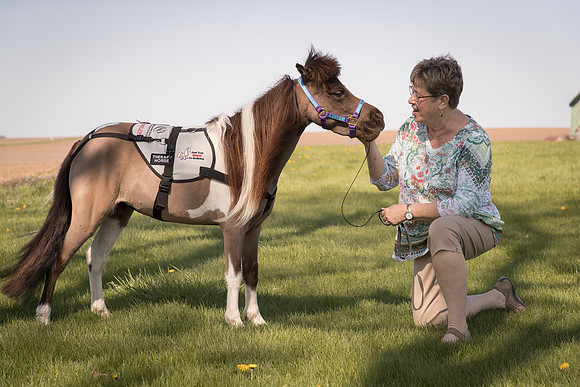 AmericasFarmers_HeartlandMiniHorses_681