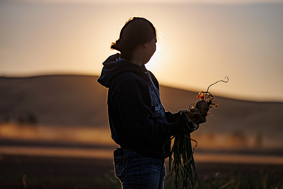 Seminis2022_Idaho_1071
