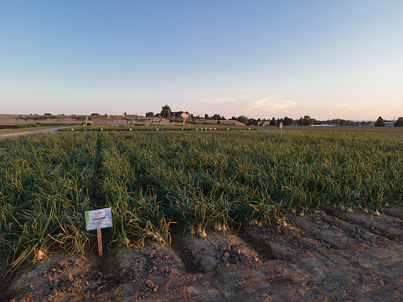 Seminis2022_Idaho_18
