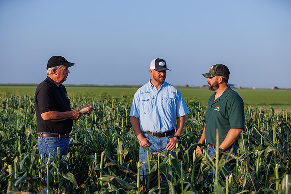 Seminis2022_FL_JEM_709