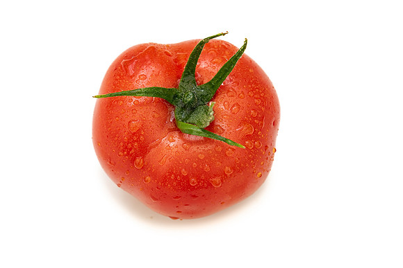Tomatoes_DRTH1054_115