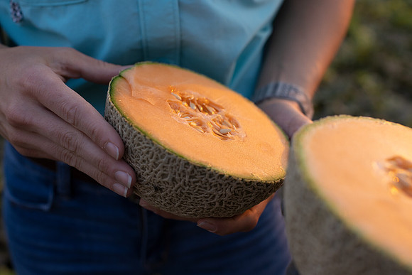 Seminis2021_AZ_384