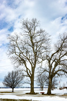 CDPg_5064