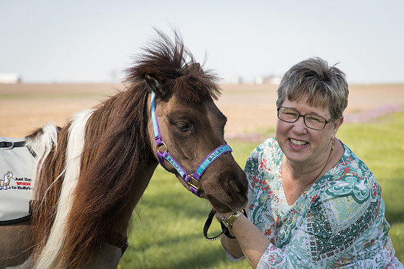 AmericasFarmers_HeartlandMiniHorses_708