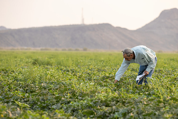Seminis2021_AZ_1160