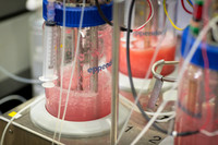NL_StLouis_102919_8